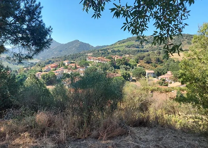 Sur Les Hauteurs De * Collioure